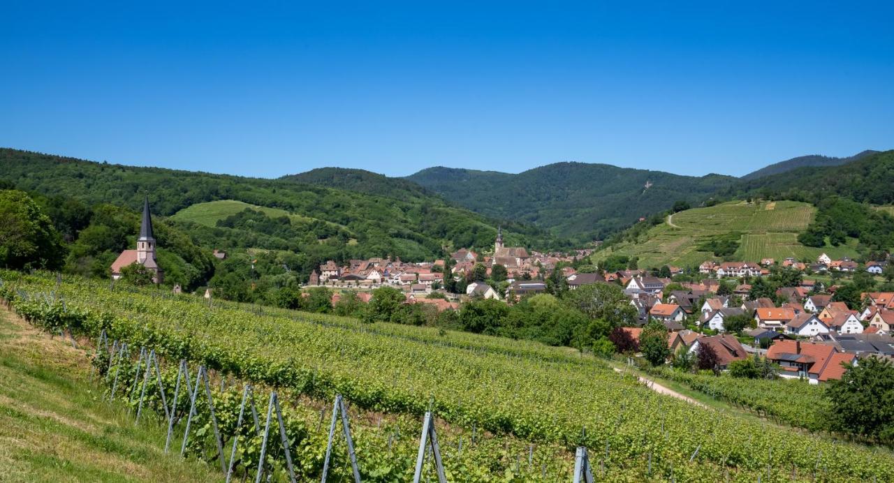 Résidence Froehn Andlau-au-Val Exterior foto